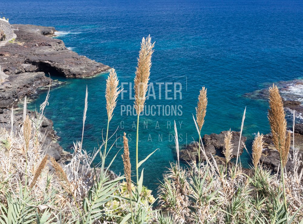 LOCATION-MANAGER-LA-PALMA-39