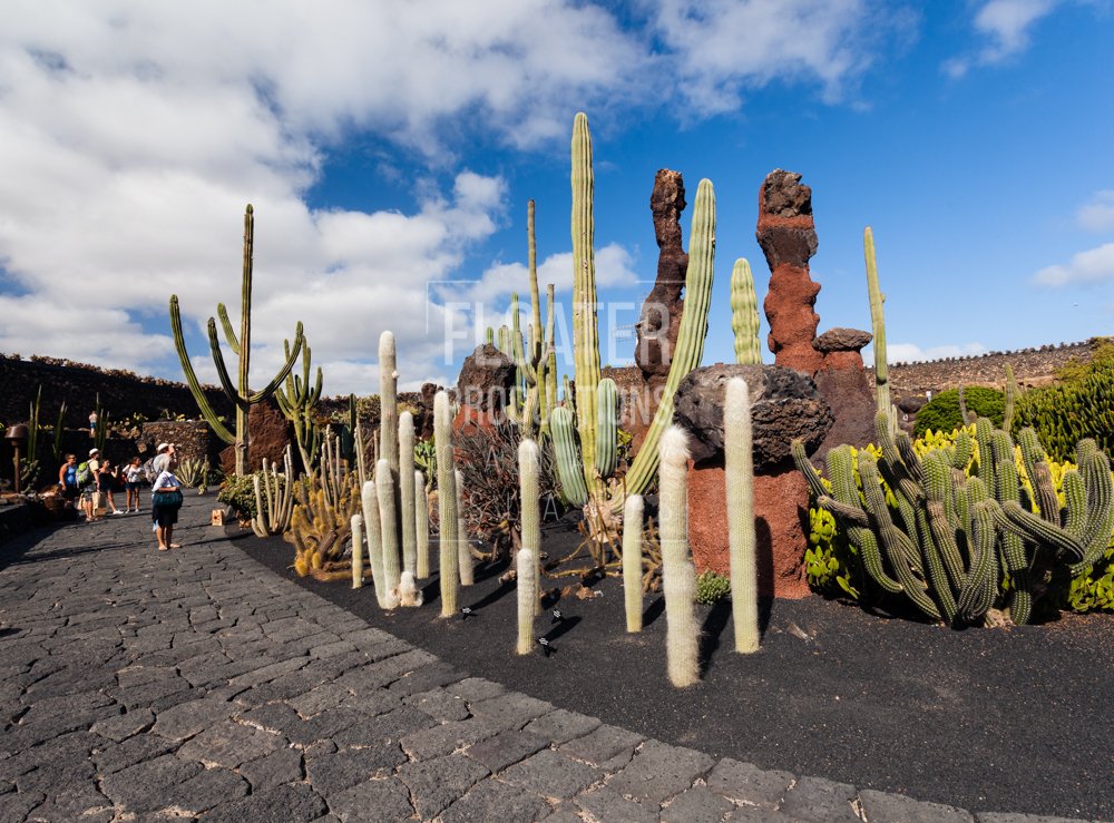 LOCATION-MANAGER-LANZAROTE-08