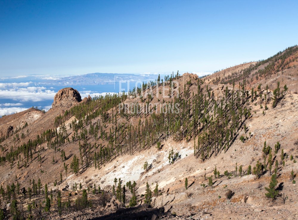 LOCATION-MANAGER-TENERIFE-14