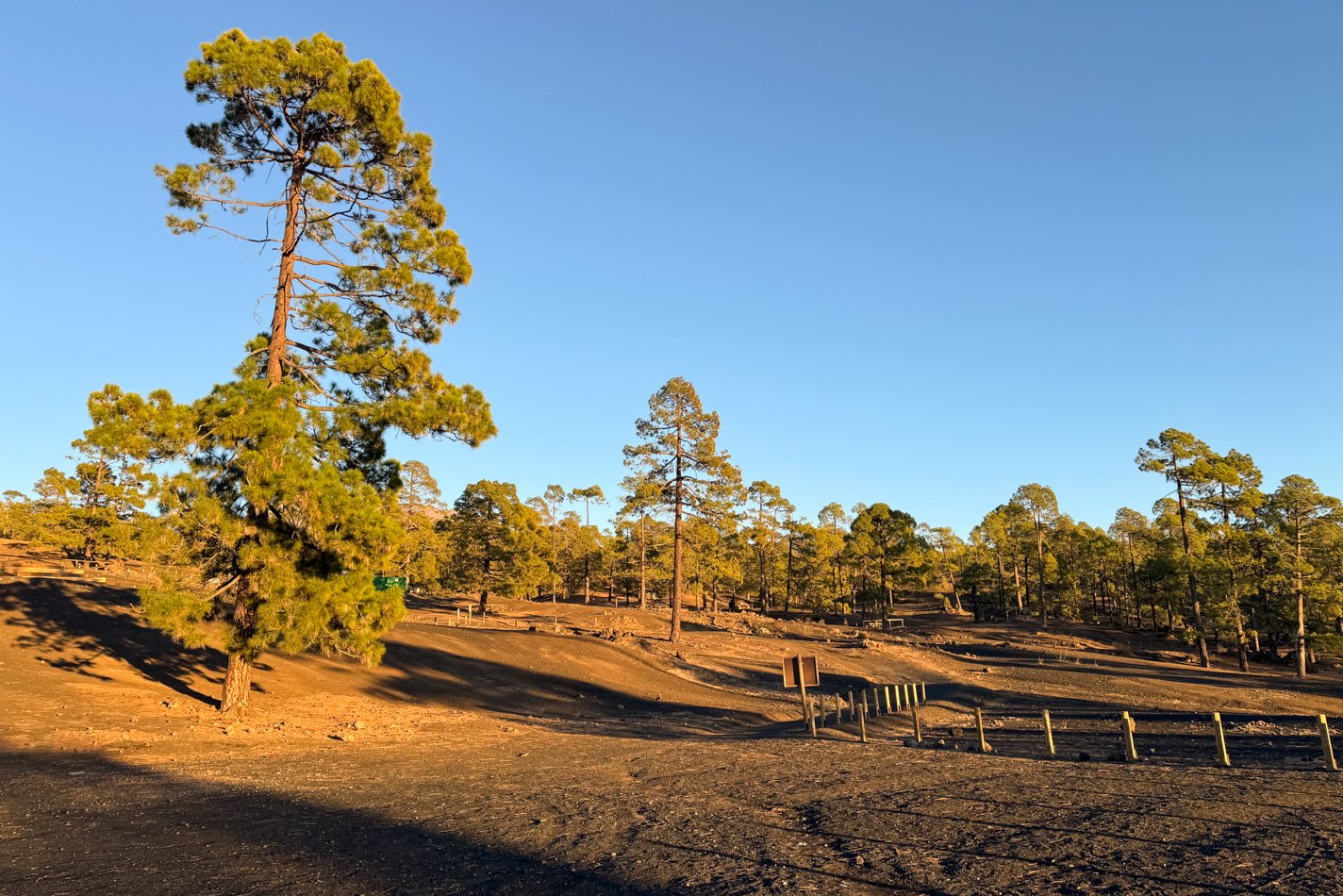 TENERIFE_FLOATER_PRODUCTIONS_IMG_7709