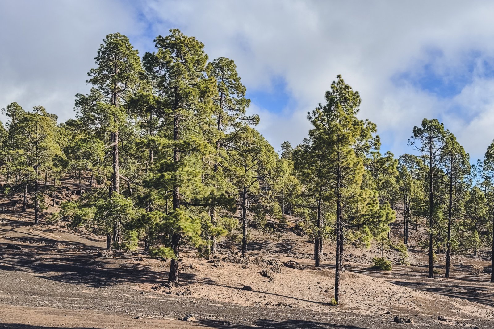 TENERIFE_FLOATER_PRODUCTIONS_IMG_9465