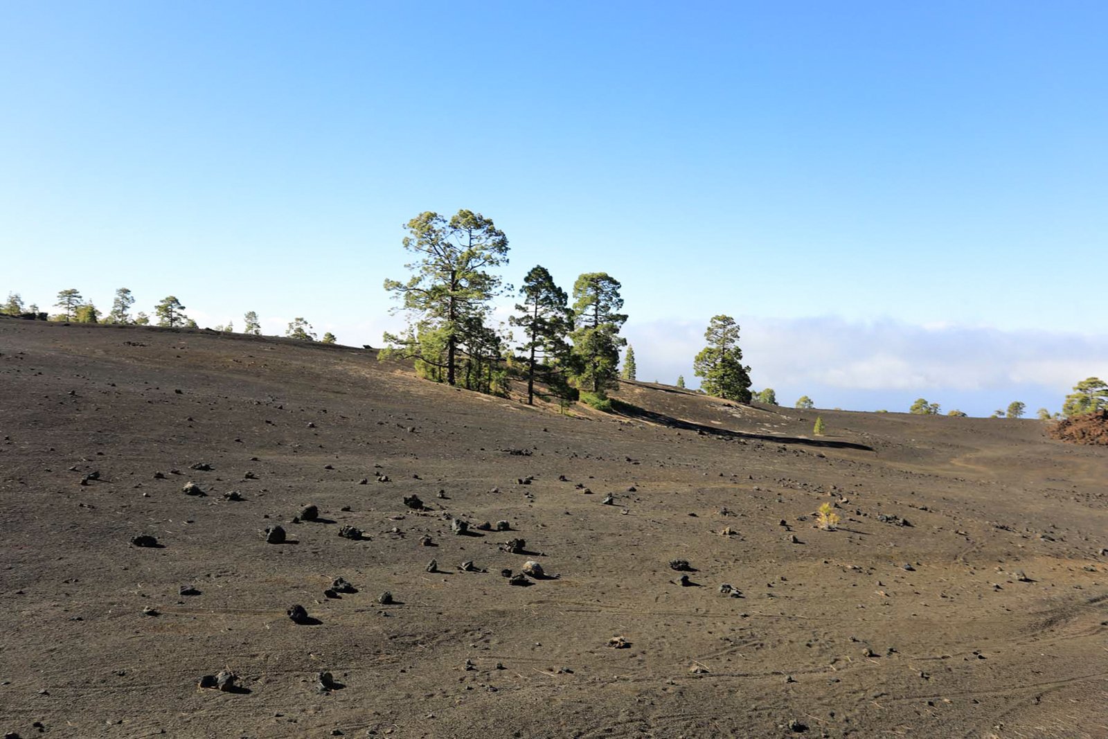 TENERIFE_FLOATER_PRODUCTIONS__49A2198