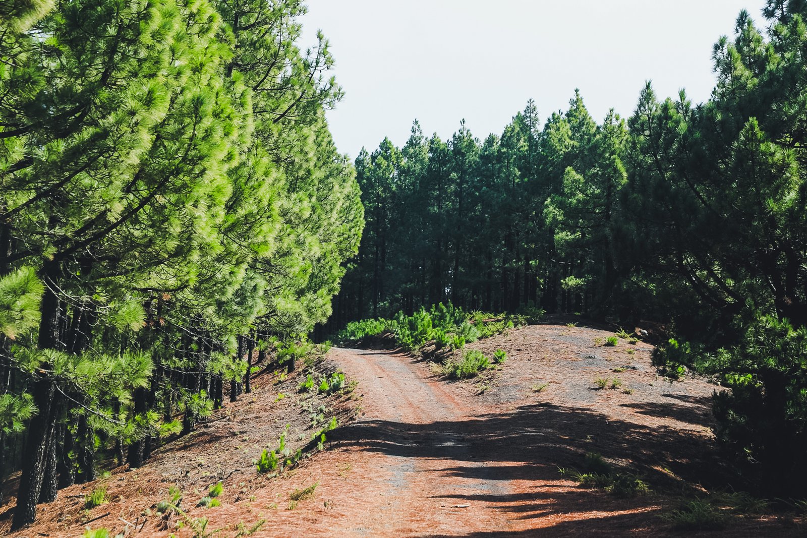 TENERIFE_FLOATER_PRODUCTIONS__49A7677