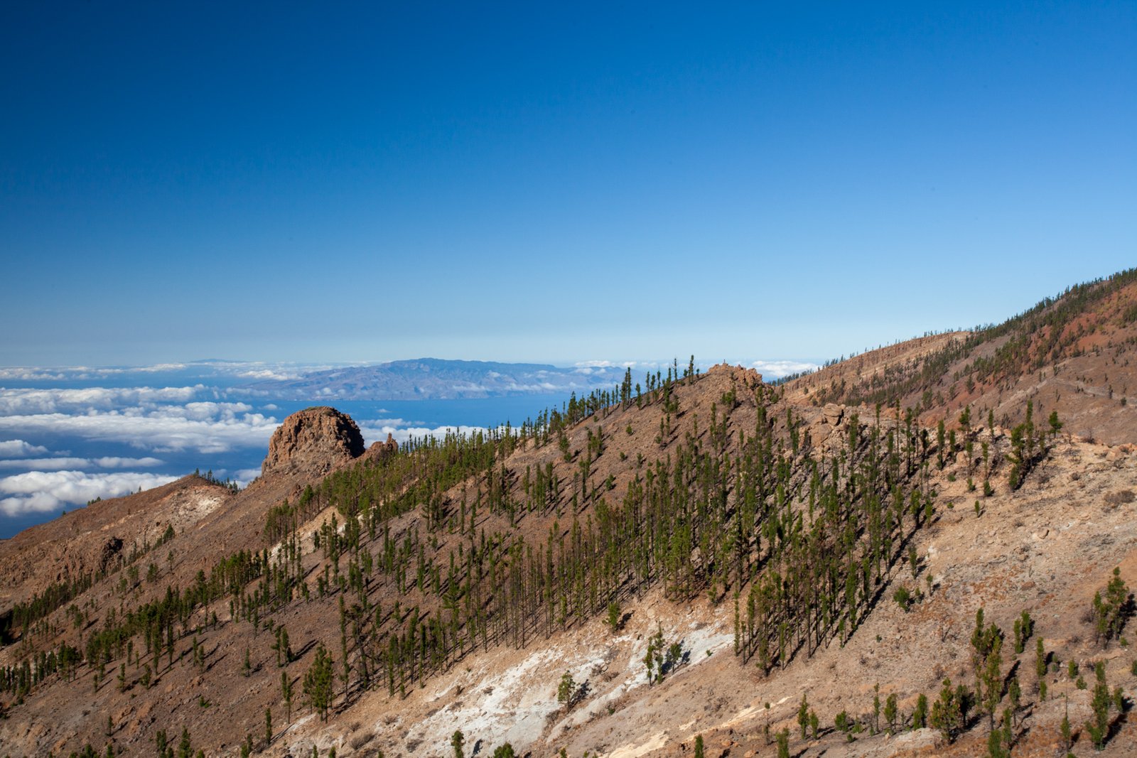 TENERIFE_FLOATER_PRODUCTIONS__MG_0290
